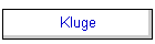 Kluge
