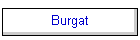 Burgat