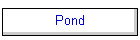 Pond