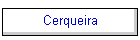 Cerqueira
